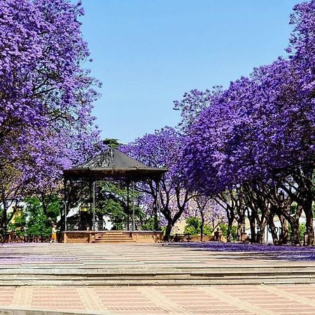 Апартаменты Alazan Jerez Iv-Parking Gratis-Wifi-Netflix Херес-де-ла-Фронтера Экстерьер фото