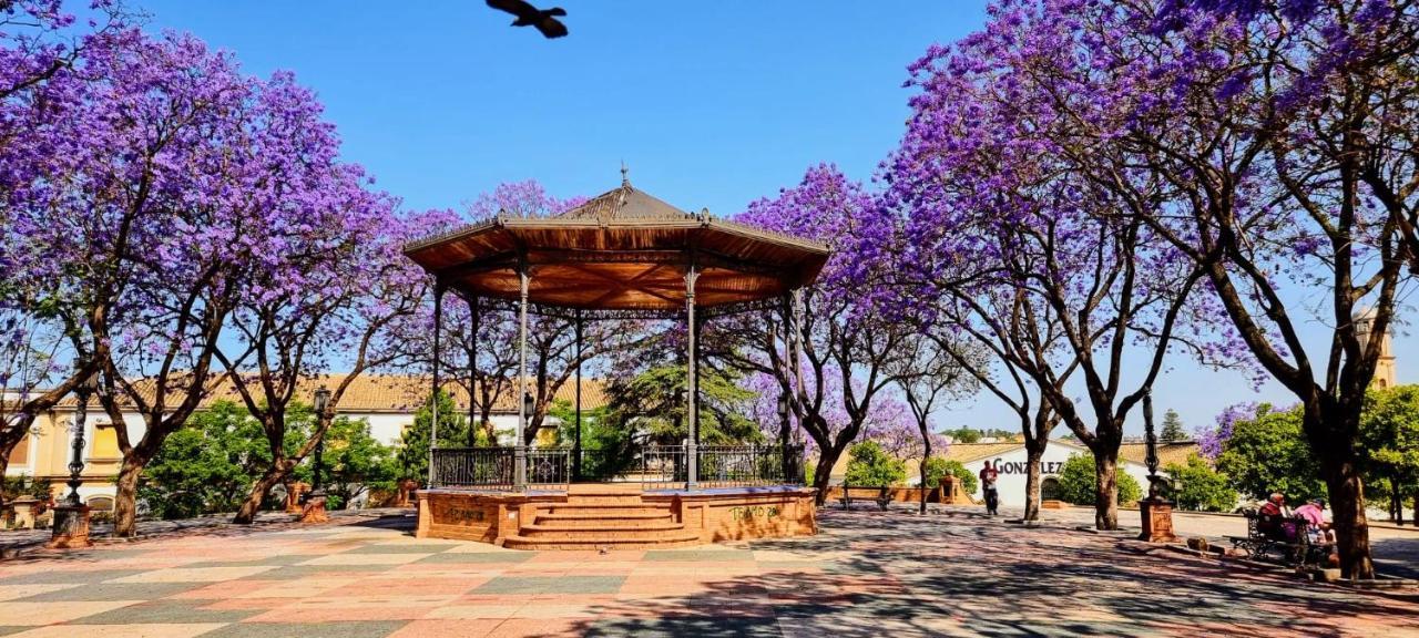 Апартаменты Alazan Jerez Iv-Parking Gratis-Wifi-Netflix Херес-де-ла-Фронтера Экстерьер фото